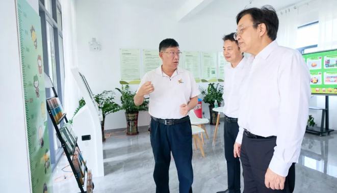 冯飞在保亭督导主题教育开展情况