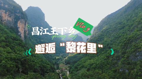Vlog磺ˡ軨